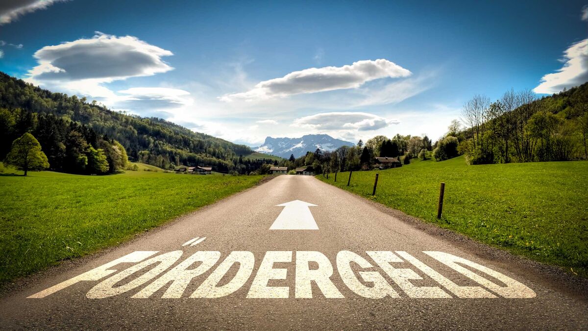 PREG, Informationen zu Förderung